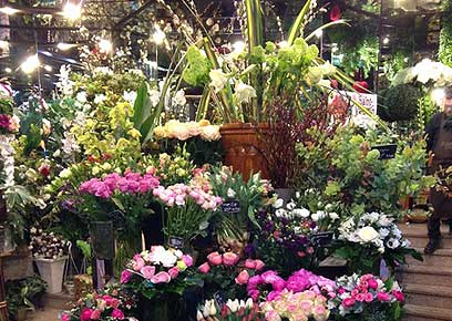 Pots de fleurs et jardinière