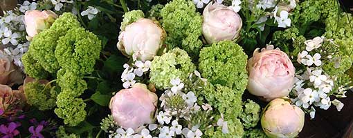 Bouquet de pivoines