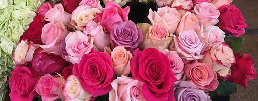 Bouquet de roses rose et variantes de teintes