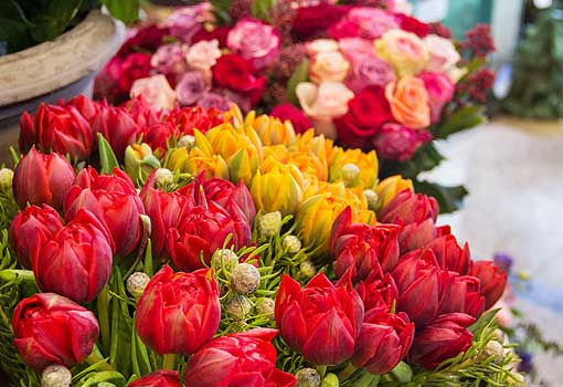 Bouquet de fleurs naturelle