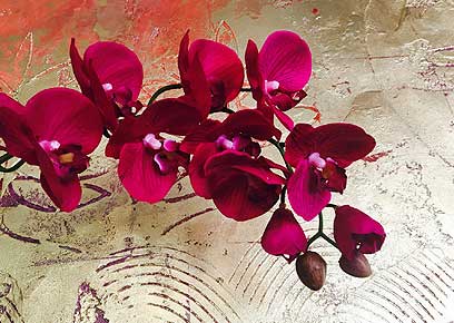 Fausses orchidées