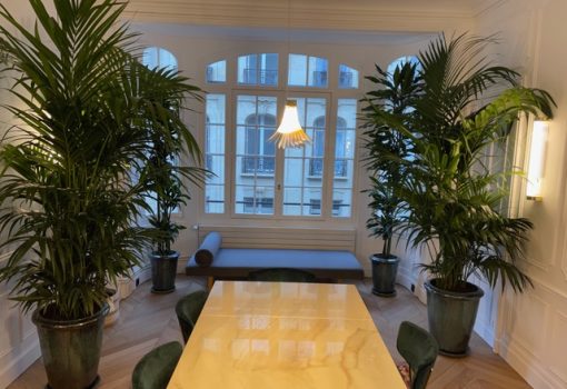 Bureau avec de grandes plantes contre les murs