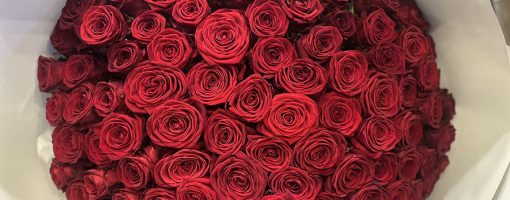 Vue rapprochée d'un bouquet de roses rouges